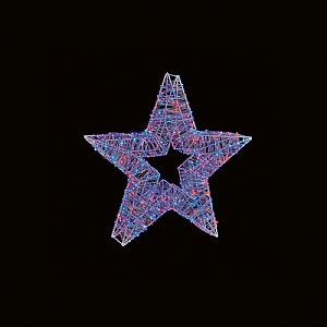 Premier Small Rainbow LED Star