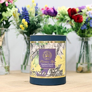 Kew Narcissus Lime Candle 200g