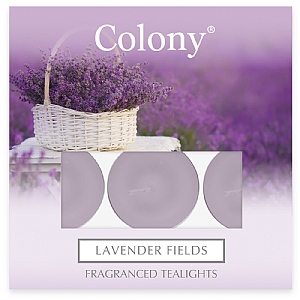 Wax Lyrical Colony Pack of 9 Tealights Lavender Fields