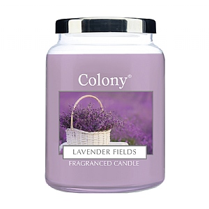 Wax Lyrical Colony Lavender Fields Medium Jar Candle