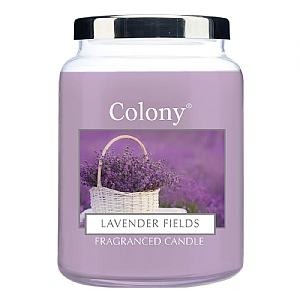 Wax Lyrical Colony Lavender Fields Large Jar Candle