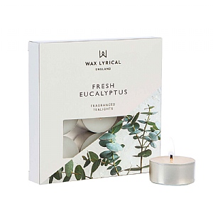 Wax Lyrical Aromatic Fresh Eucalyptus Box of 9 Tea Lights