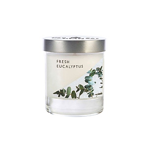 Wax Lyrical Fresh Eucalyptus Small Candle