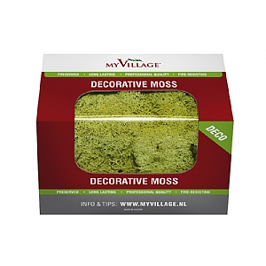 My Village Light Green Reindeer Moss 50g