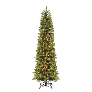 7ft Pre-Lit Colorado Pencil Spruce Artificial Christmas Tree