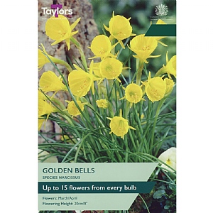Narcissus 'Golden Bells' (6 Bulbs)