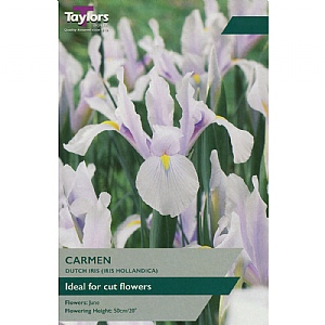 Iris hollandica 'Carmen' (25 Bulbs)