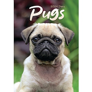 Pugs A5 2024 Diary