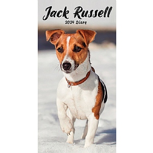 Jack Russell Terriers Slim 2024 Diary