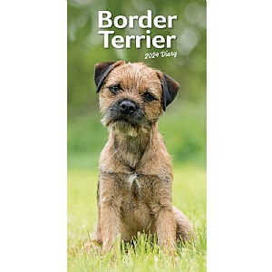 Border Terriers Slim 2024 Diary