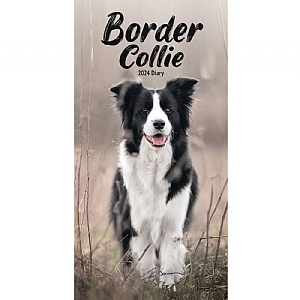 Border Collies Slim 2024 Diary