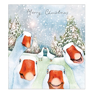 Woodmansterne Festive Gaggle Charity Christmas Cards