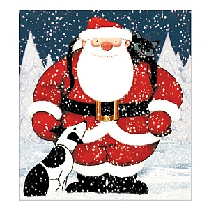 Woodmansterne Father Christmas Charity Christmas Cards