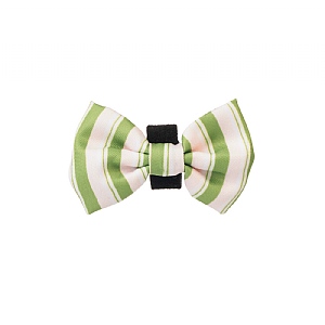 Pawsome Paws Boutique Green Striped Bow Tie