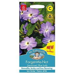 Mr Fothergills Forget Me Not (Jamaican) Blue Lady Seeds