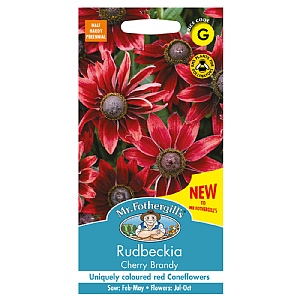 Mr Fothergills Rudbeckia Cherry Brandy Seeds