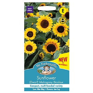 Mr Fothergills Sunflower Mahogany Seeds