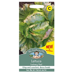 Mr Fothergills Lettuce Iceberg Red Seeds