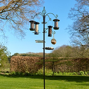 Tom Chambers Harvest Bird Feeding Station