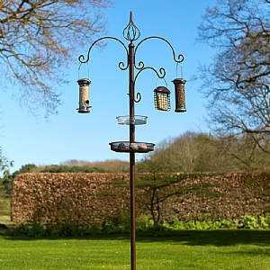 Tom Chambers Ascot Bird Feeding Station