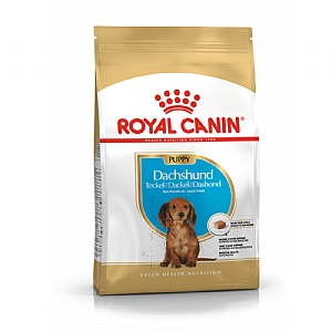 Royal Canin Breed Health Nutrition Dachshund Dry Dog Food - Junior (1.5kg)
