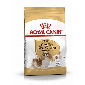 Royal Canin Breed Health Nutrition Cavalier King Charles Dry Dog Food - Adult (1.5kg)