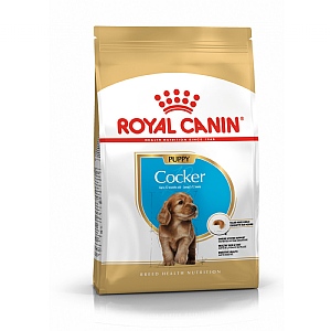 Royal Canin Breed Health Nutrition Cocker Dry Dog Food - Puppy (3kg)