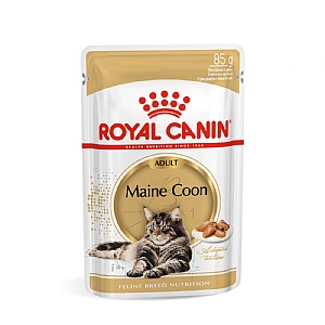 Royal Canin Feline Breed Nutrition Maine Wet Food (85g)