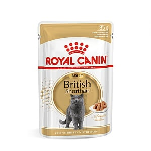 Royal Canin Feline Breed Nutrition British Shorthair Wet Food (85g)