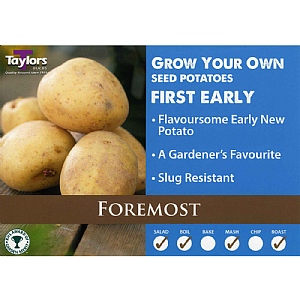 Foremost First Early Seed Potatoes (Bag of 12)