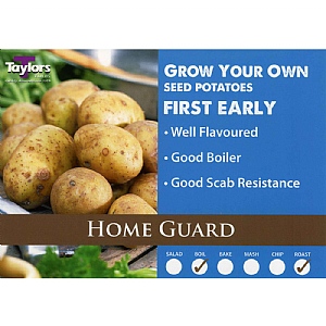 Home Guard First Early Seed Potatoes (Bag of 12)