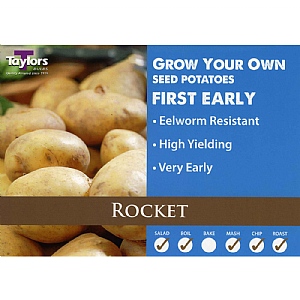 Rocket First Early Seed Potatoes (Bag of 12)