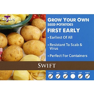 Swift First Early Seed Potatoes (Bag of 12)
