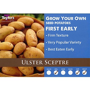 Ulster Sceptre First Early Seed Potatoes (Bag of 12)