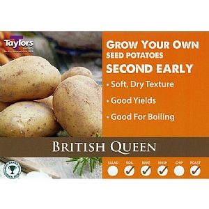 British Queen Second Early Seed Potatoes (Bag of 12)