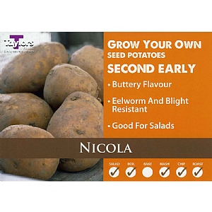 Nicola Second Early Seed Potatoes (Bag of 12)