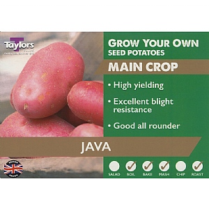 Java Main Crop Seed Potatoes (Bag of 12)