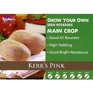 Kerr's Pink Main Crop Seed Potatoes (Bag of 12)