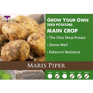 Maris Piper Main Crop Seed Potatoes (Bag of 12)