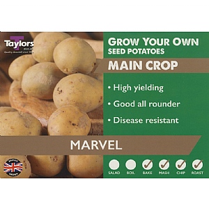 Marvel Main Crop Seed Potatoes (Bag of 12)