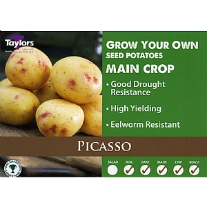Picasso Main Crop Seed Potatoes (Bag of 12)