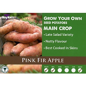 Pink Fir Apple Main Crop Seed Potatoes (Bag of 12)