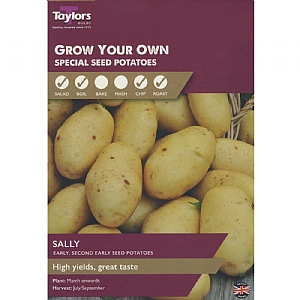 Sally Second Early Seed Potatoes Taster Pack (Bag of 10)