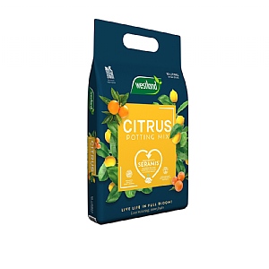 Westland Citrus Peat Free Potting Mix 10L