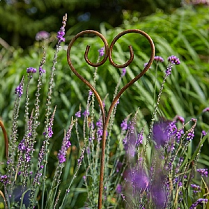 Tom Chambers Rusty Plant Stake - Valentine