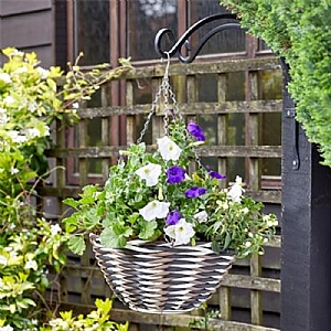 Smart Garden 14" Yeoman Hanging Basket