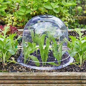 Smart Garden Bell Cloche Pack of 3