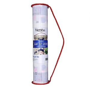 Webbs 3D Giant Fly Catcher 10m