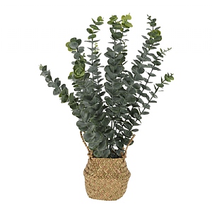 Faux Eucalyptus Plant in Seagrass Basket