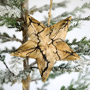 Wooden Star with Burn pattern Hanging Decoration (18cm)